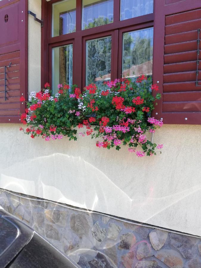 Apartament Roza Braşov Dış mekan fotoğraf
