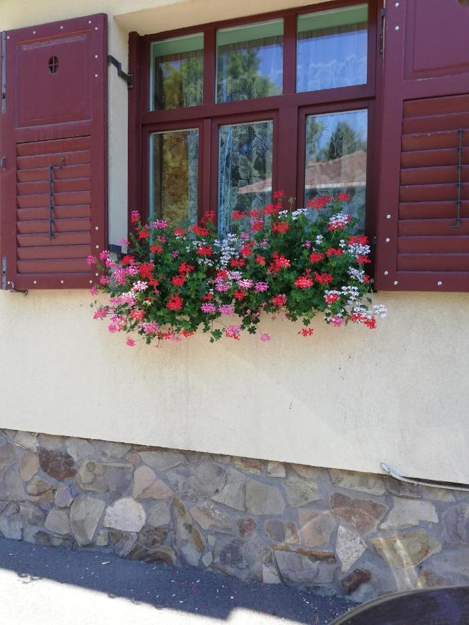Apartament Roza Braşov Dış mekan fotoğraf