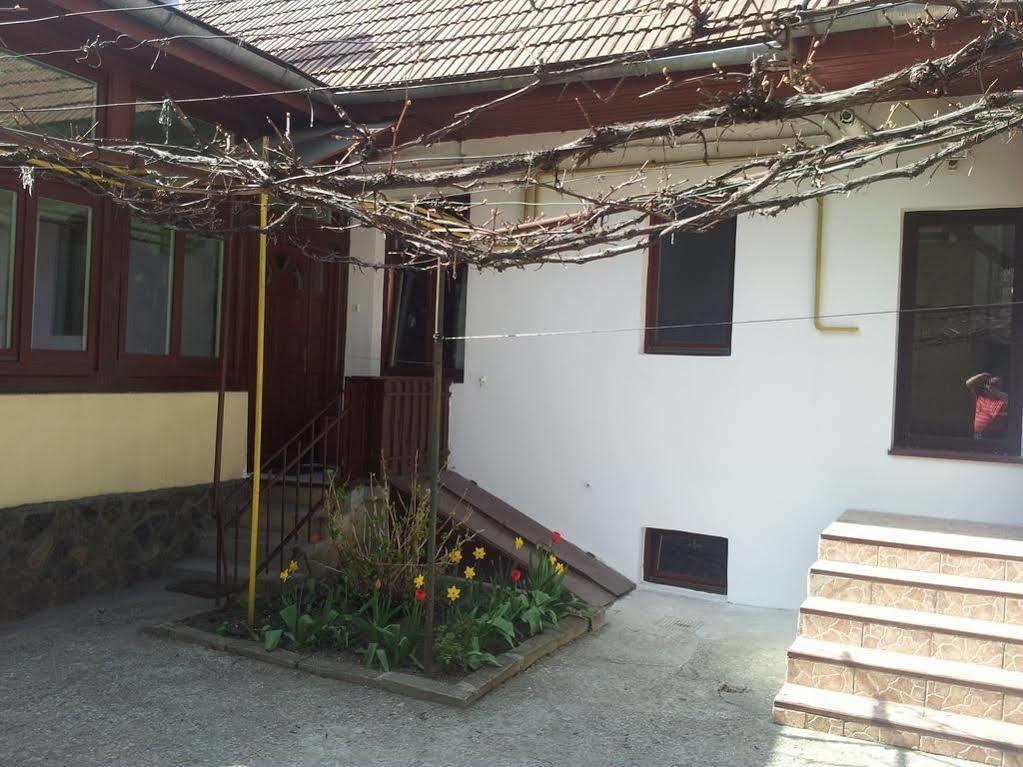 Apartament Roza Braşov Dış mekan fotoğraf